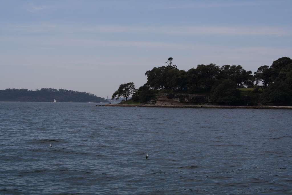 20100925_025933_Vlada_DPP_1629-1024.jpg