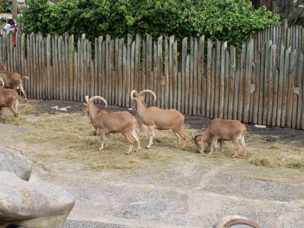 P9237819-1024.jpg