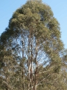 P9248033-1024.jpg