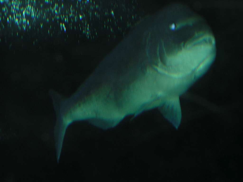 512T0352-1024.jpg