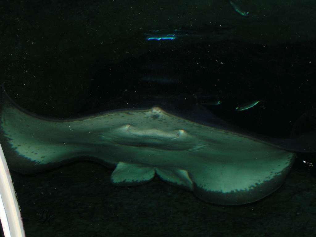 512T0355-1024.jpg