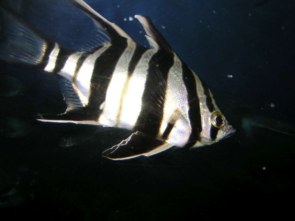512T0368-1024.jpg