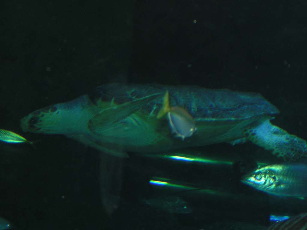 512T0385-1024.jpg