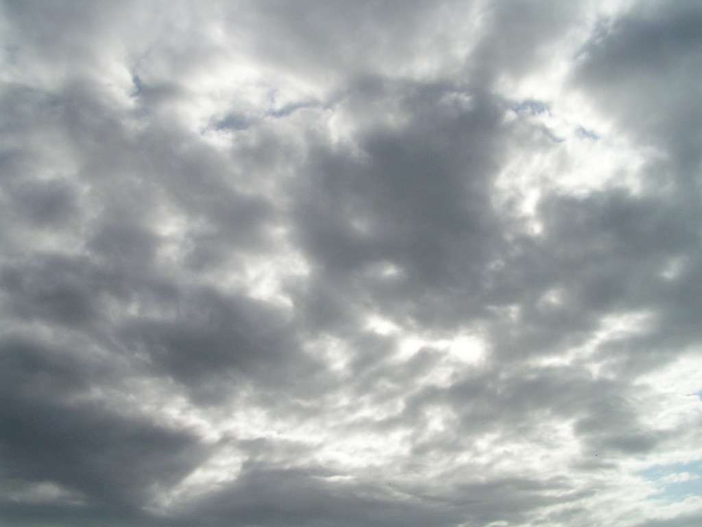 512T0615-1024.jpg