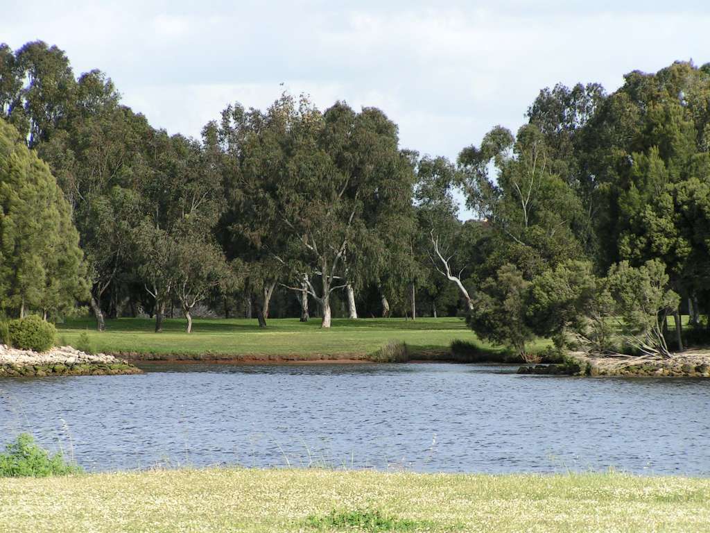 512T1322-1024.jpg