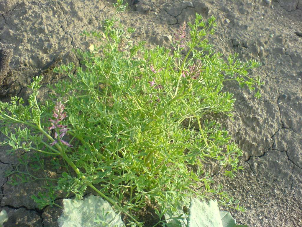 DSC00367-1024.jpg