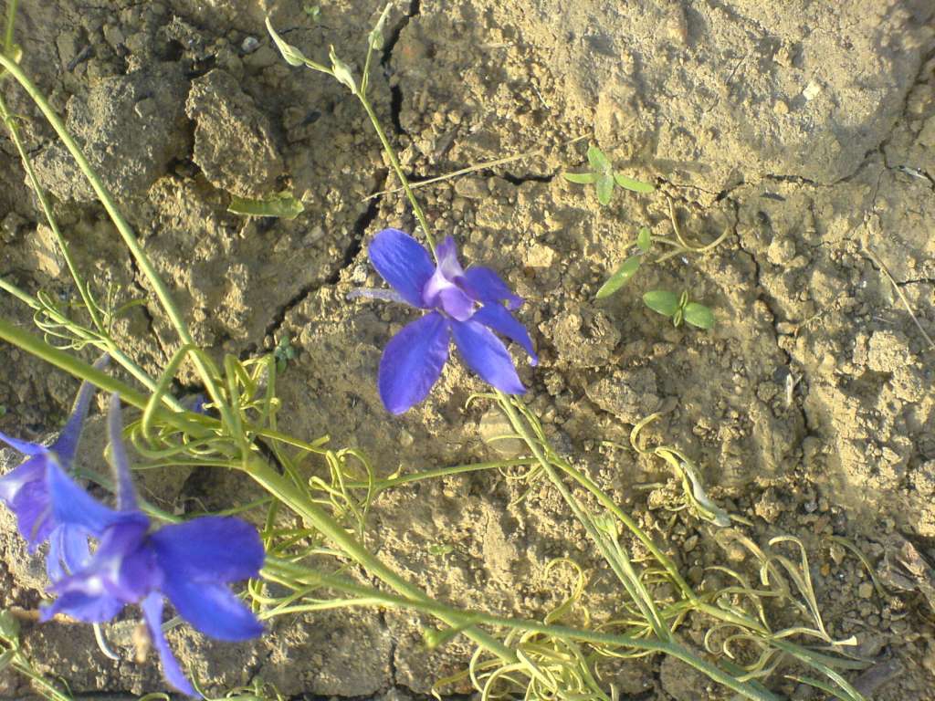 DSC00368-1024.jpg