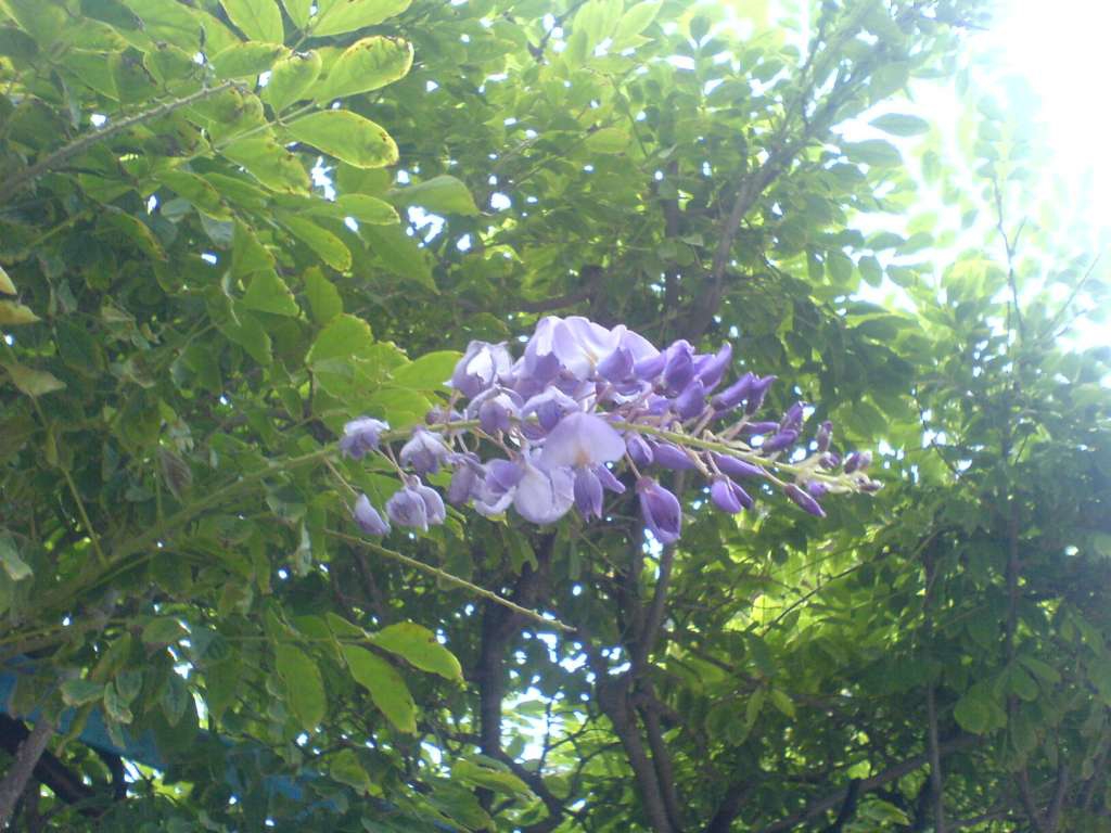 DSC00385-1024.jpg