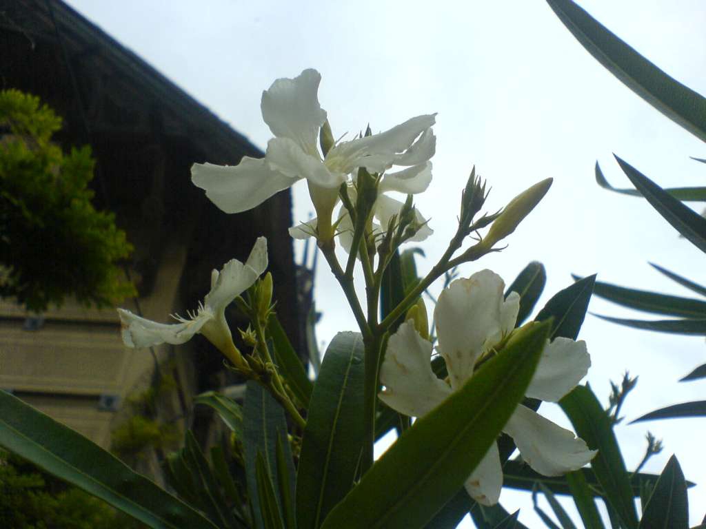 DSC00386-1024.jpg