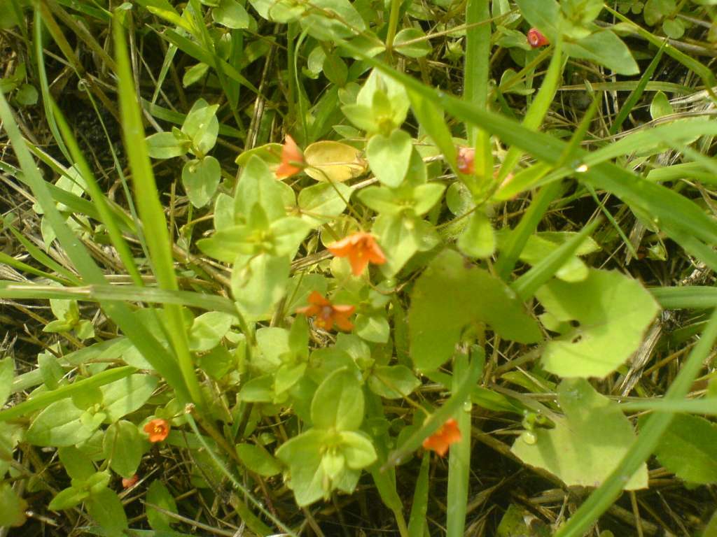 DSC00391-1024.jpg