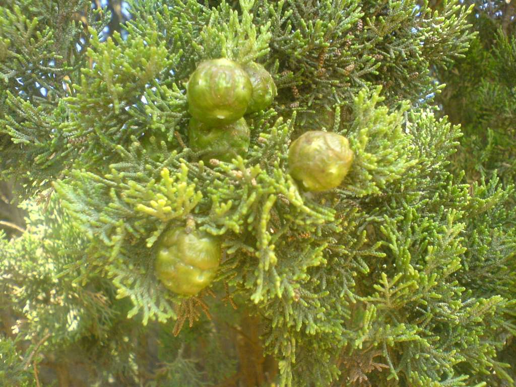 DSC00401-1024~0.jpg