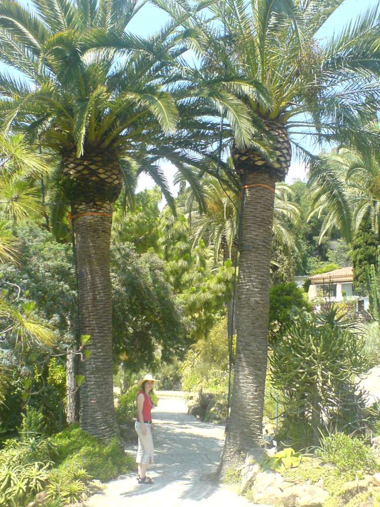 DSC00410-1024.jpg