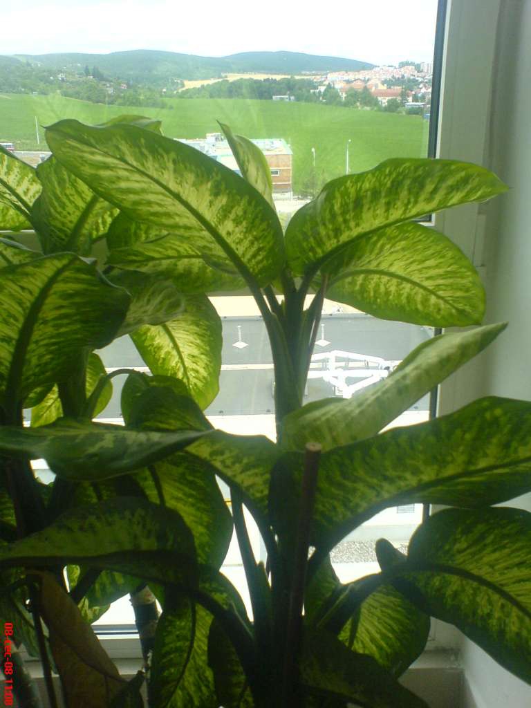 DSC00533-1024.jpg