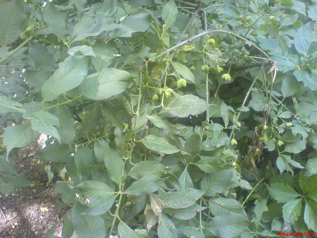DSC00540-1024.jpg