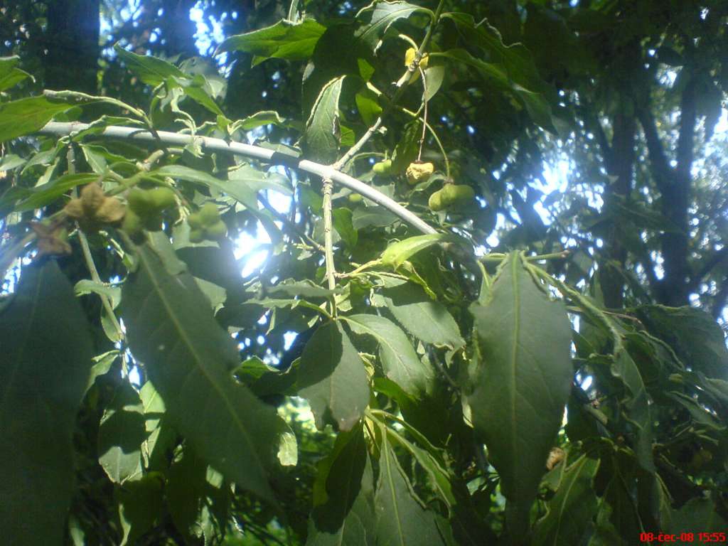 DSC00541-1024.jpg
