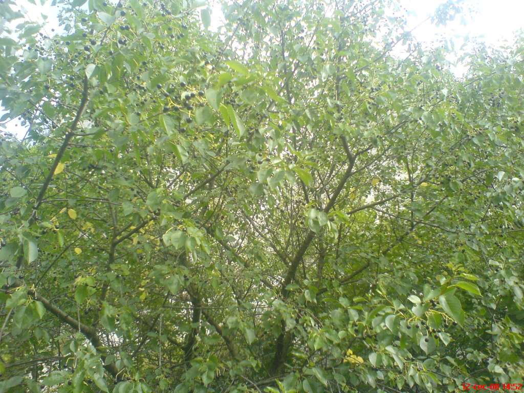 DSC00554-1024.jpg