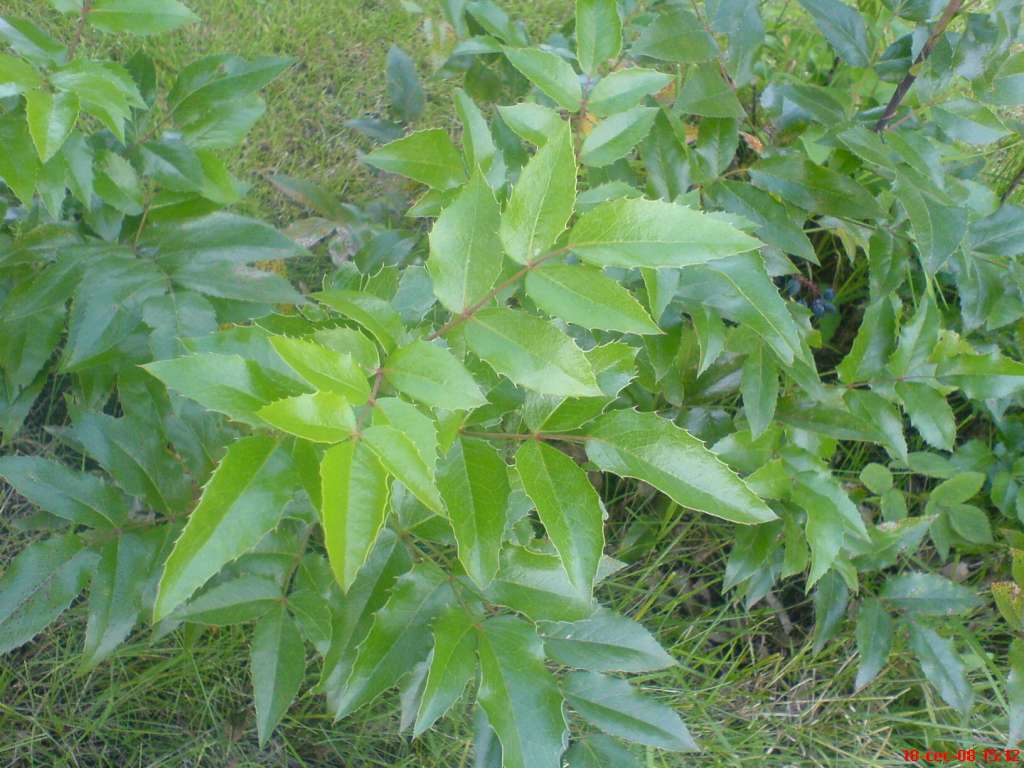 DSC00565-1024.jpg