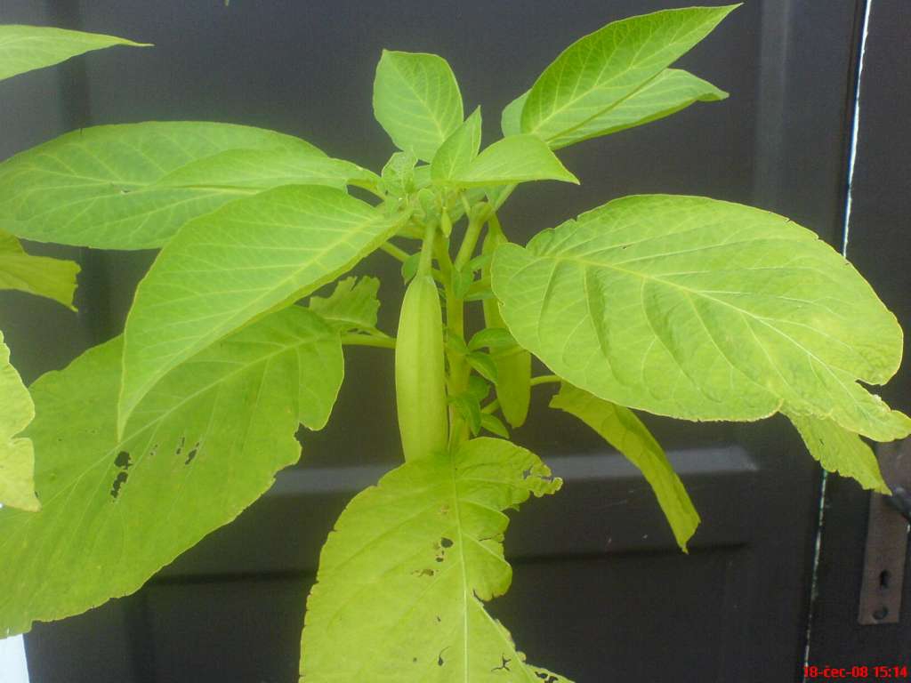 DSC00568-1024.jpg