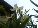 DSC00386-1024.jpg