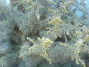 DSC00400-1024~0.jpg