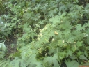 DSC00552-1024.jpg