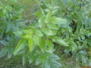 DSC00565-1024.jpg