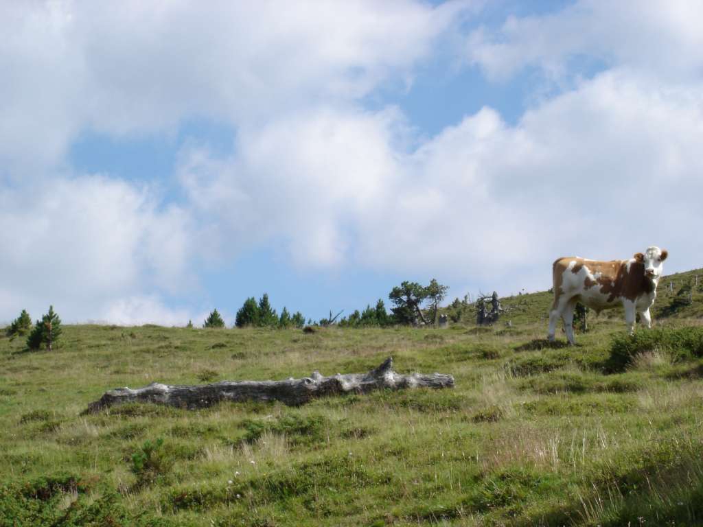 DSC01461-1024.jpg