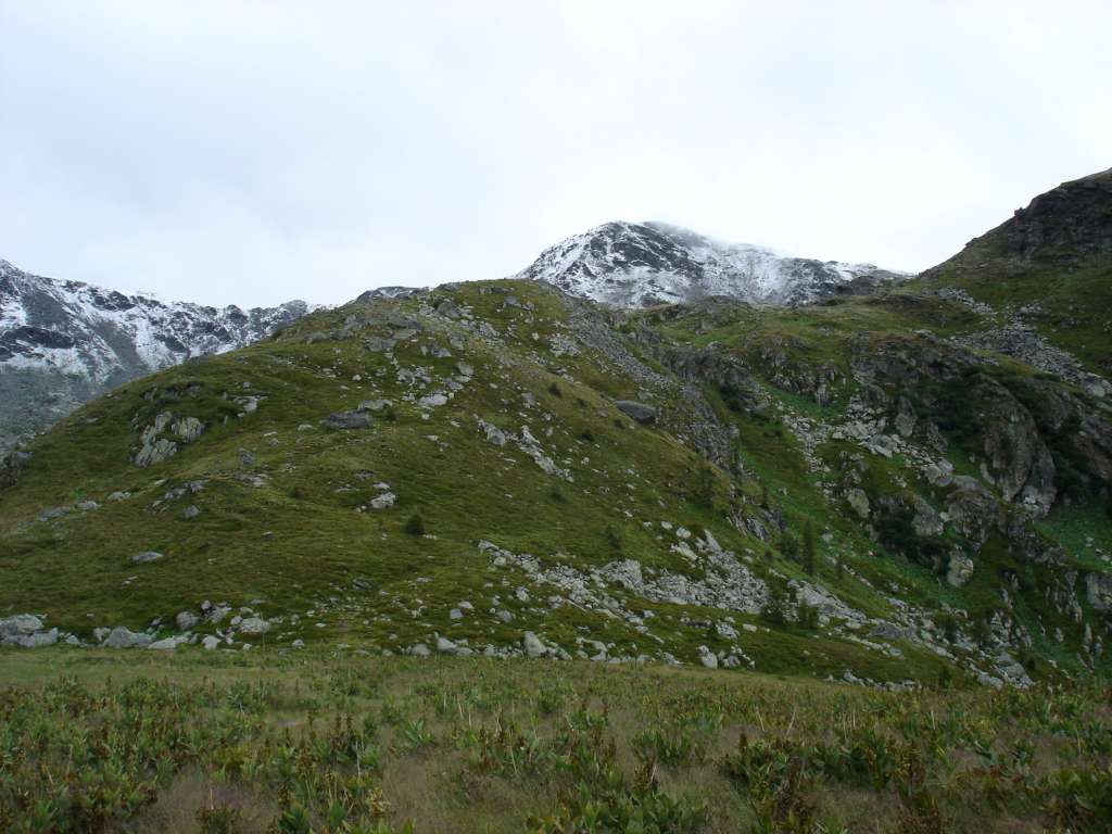 DSC01570-1024.jpg