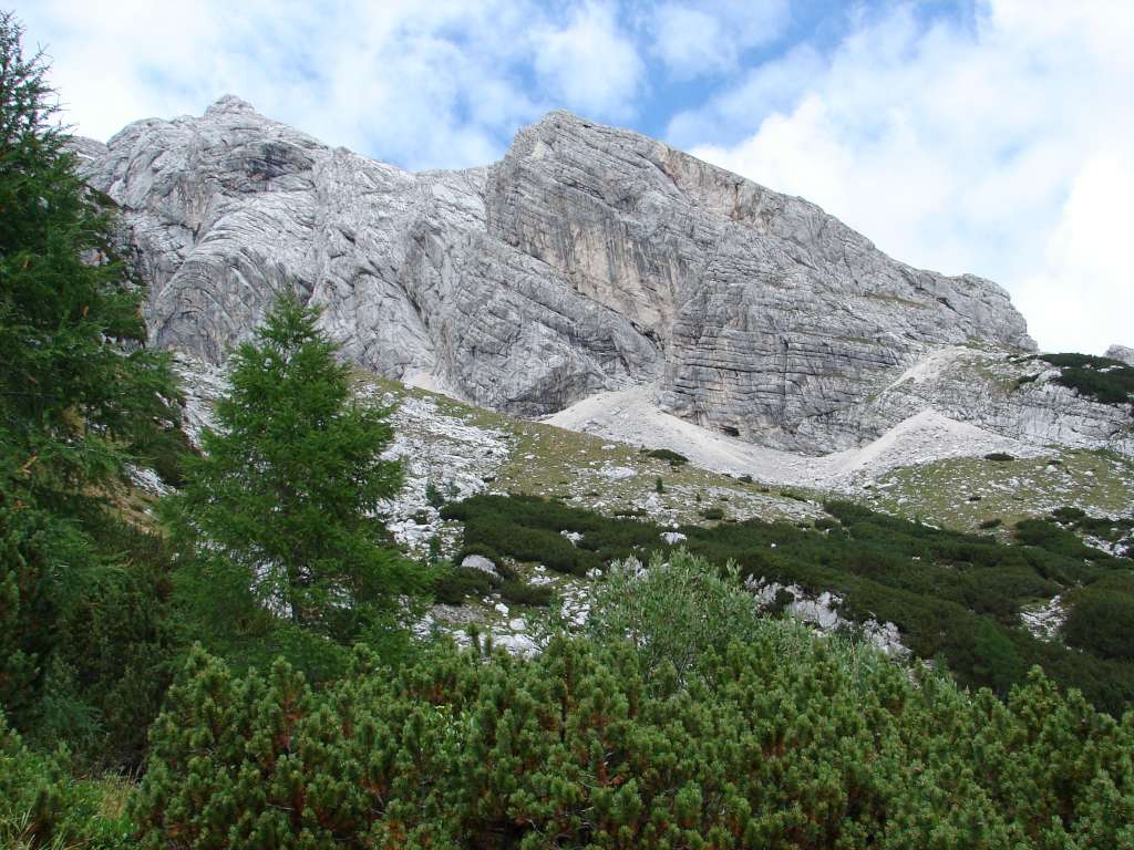 DSC03109-1024.jpg