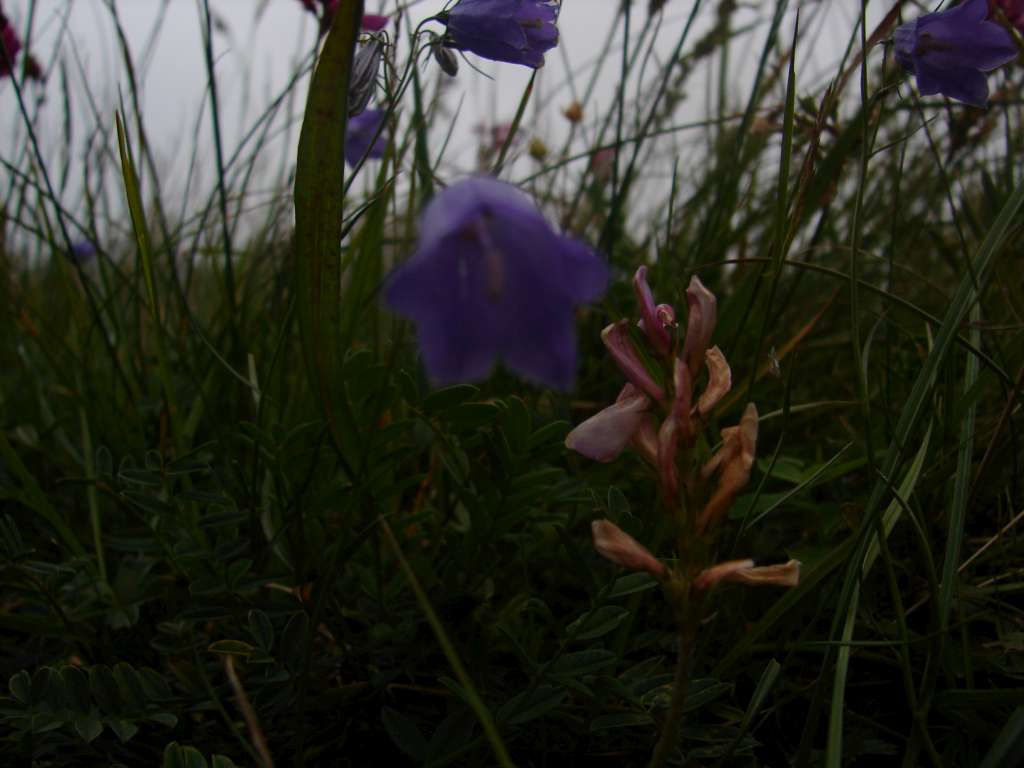 Durmitor
