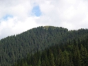 Název souboru=DSC01429-1024.jpg
Velikost souboru=193KB
Rozměry=1024x768
Datum přidání=10. Listopad 2010 DSC01429-1024.jpg
