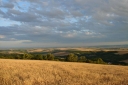 Název souboru=DSC02256-1024~0.jpg
Velikost souboru=253KB
Rozměry=1024x682
Datum přidání=10. Listopad 2010 DSC02256-1024~0.jpg