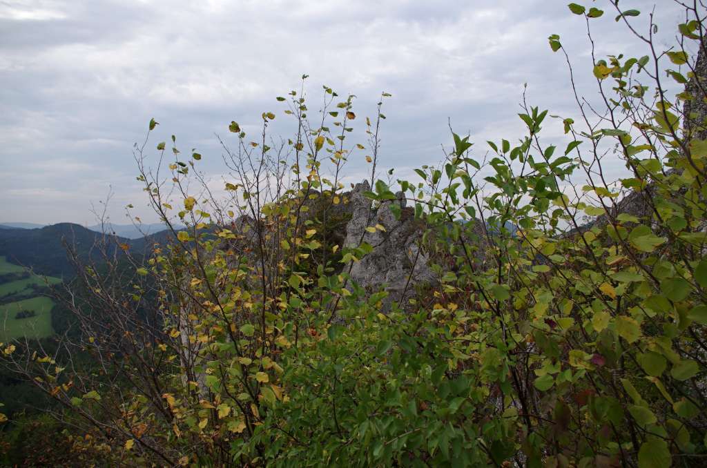 Súlovské skály

