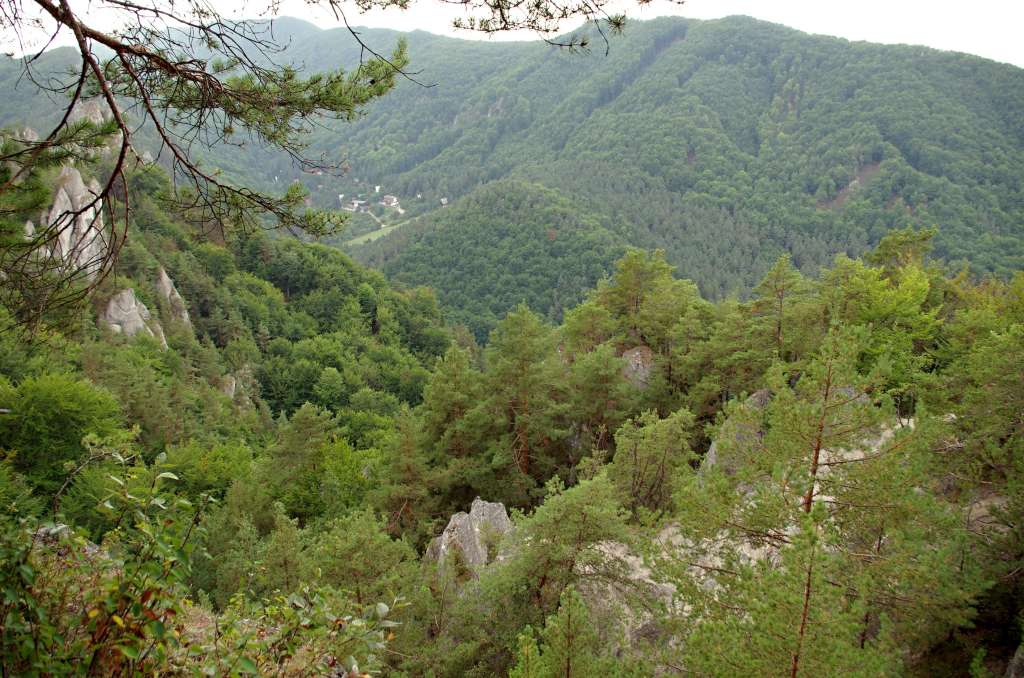 Súlovské skály

