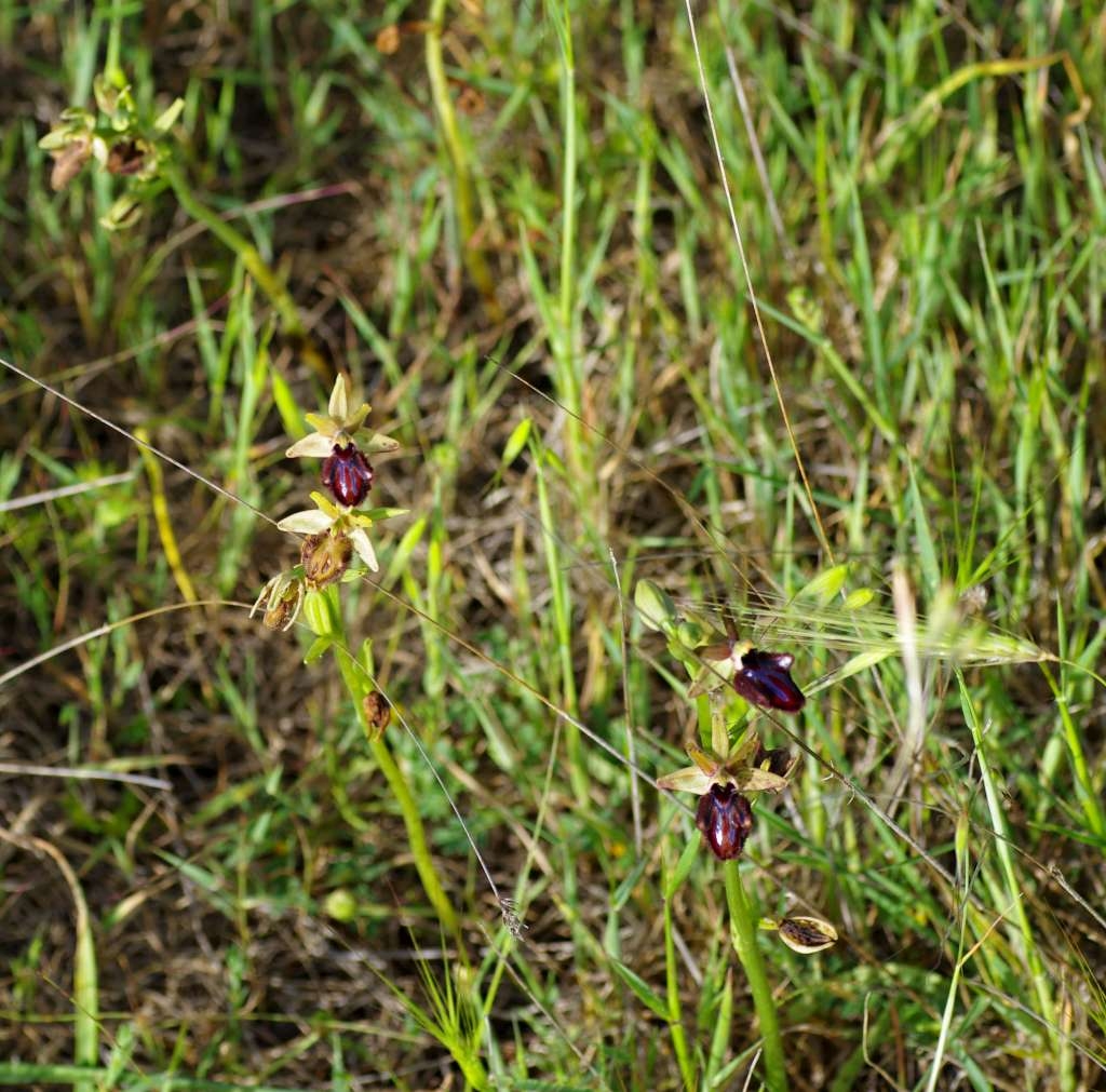 IMGP3102-1024.jpg