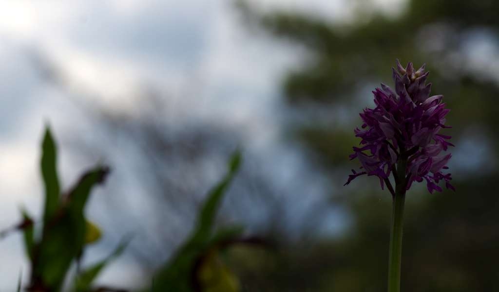 IMGP3850-1024.jpg
