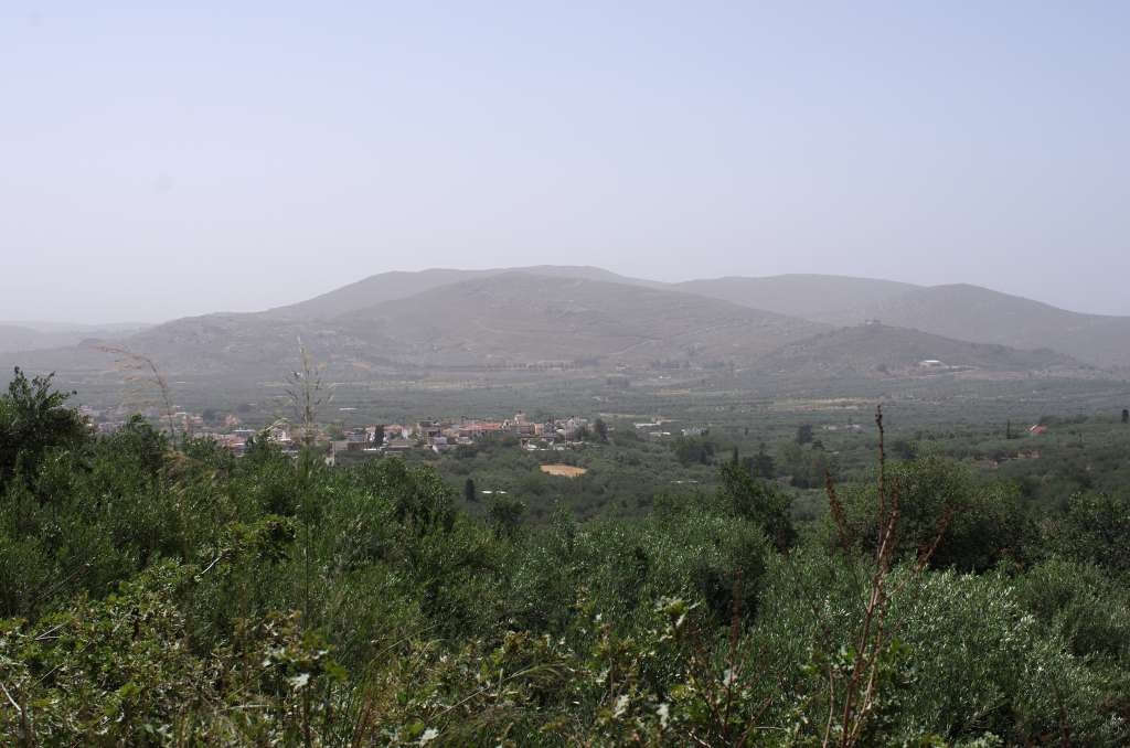 IMGP4461-1024.jpg