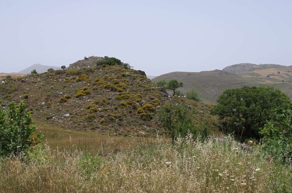 IMGP4514-1024.jpg