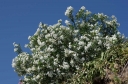 IMGP4277-1024.jpg