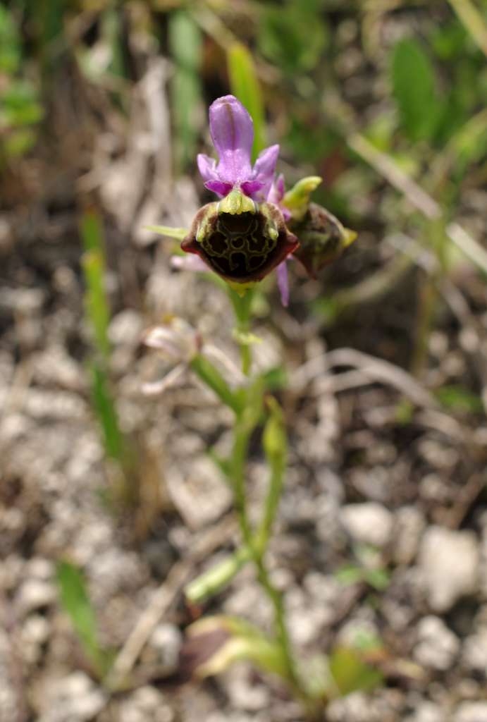 IMGP5076-1024.jpg