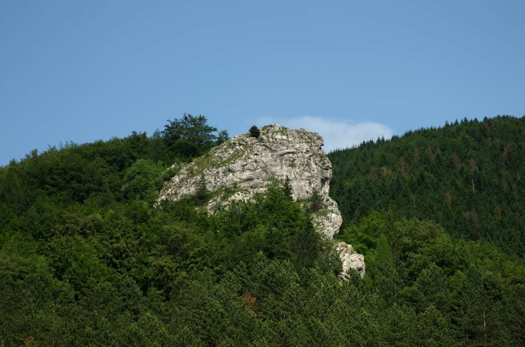 IMGP5664-1024.jpg