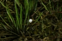 IMGP5344-1024.jpg