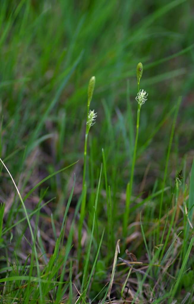 IMGP8317-1024.jpg